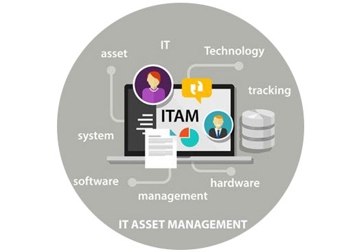 IT Asset  Management